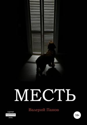 Обложка книги «Месть» — Валерий Панов