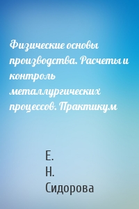 Физические основы производства. Расчеты и контроль металлургических процессов. Практикум