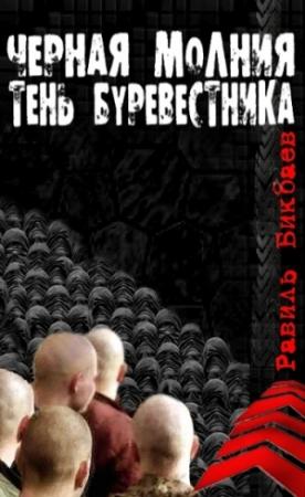 Обложка книги «Черная молния. Тень буревестника.» — Равиль Бикбаев