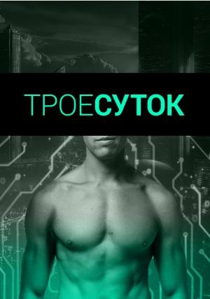 Обложка книги «Трое суток (СИ)» — Наташа Михлин