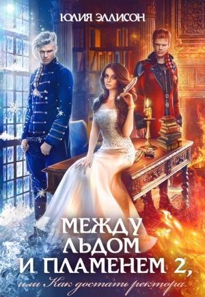 Обложка книги «Как достать ректора» — Юлия Эллисон