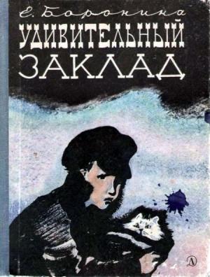 Обложка книги «Удивительный заклад» — Екатерина Боронина
