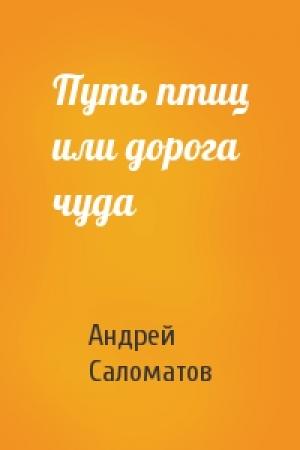 Обложка книги «Путь птиц или дорога чуда» — Андрей Саломатов
