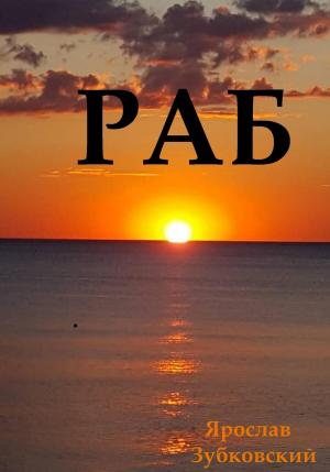 Обложка книги «Раб. Сценарий» — Ярослав Зубковский
