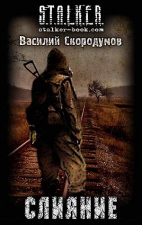 Обложка книги «Слияние» — Василий Скородумов