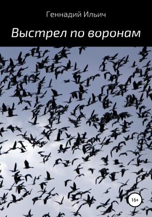 Обложка книги «Выстрел по воронам» — Геннадий Ильич