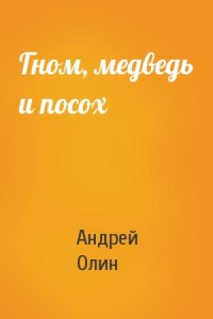 Обложка книги «Гном, медведь и посох» — Андрей Олин