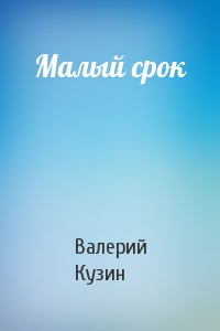 Малый срок