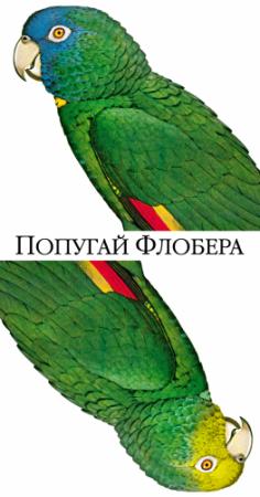 Обложка книги «Попугай Флобера» — Джулиан Барнс