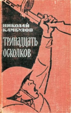 Обложка книги «Тринадцать осколков» — Николай Камбулов