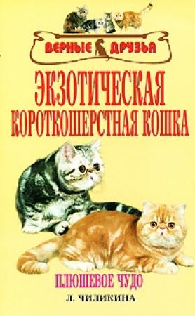 Обложка книги «Экзотическая короткошерстная кошка» — Л. Чиликина