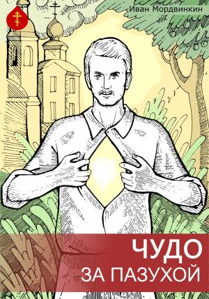 Обложка книги «Чудо за пазухой» — Иван Мордвинкин