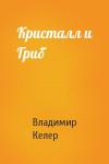 Владимир Келер - Кристалл и Гриб