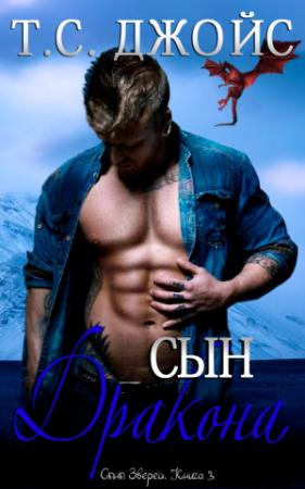 Обложка книги «Сын дракона» — Т. Джойс