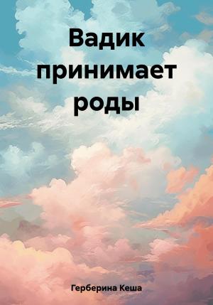 Обложка книги «Вадик принимает роды» — Кеша Герберина
