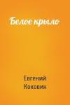Евгений Коковин - Белое крыло