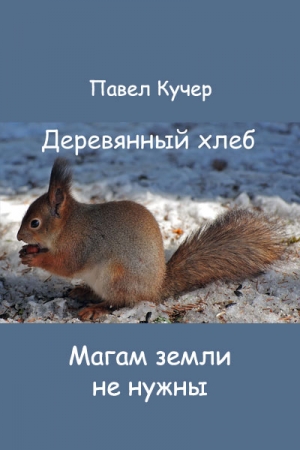 Обложка книги «Магам земли не нужны» — Павел Алексеевич Кучер