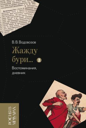 Обложка книги ««Жажду бури…». Воспоминания, дневник. Том 2» — Василий Водовозов