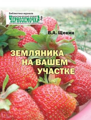 Обложка книги «Земляника на вашем участке» — Владимир Щекин