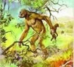 Обложка книги «О происхождении человека» — Олег Викторович Мосин