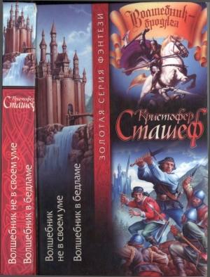 Обложка книги «Волшебник не в своем уме. Волшебник в Бедламе» — Кристофер Сташеф