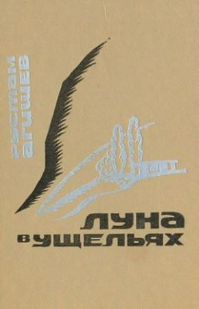 Обложка книги «Луна в ущельях» — Рустам Агишев