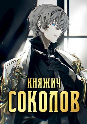 Обложка книги «Княжич Соколов» — Роман Саваровский