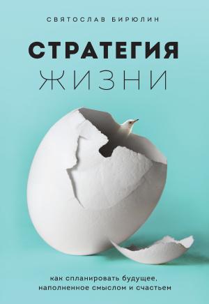 Обложка книги «Стратегия жизни. Как спланировать будущее, наполненное смыслом и счастьем» — Святослав Бирюлин