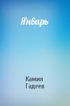 Камил Гадеев - Январь