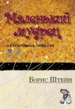 Обложка книги «Маленький мудрец» — Борис Штейн