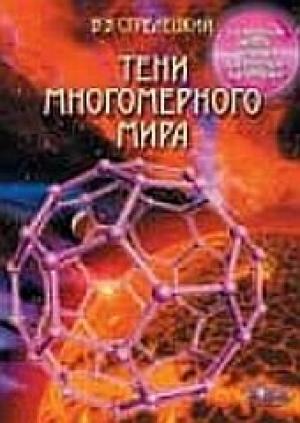 Обложка книги «Тени многомерного мира (избранные главы)» — Владимир Стрелецкий