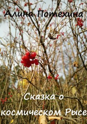 Обложка книги «Сказка о космическом Рысе» — Алина Потехина