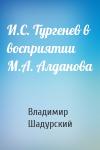 Владимир Шадурский - И.С. Тургенев в восприятии М.А. Алданова