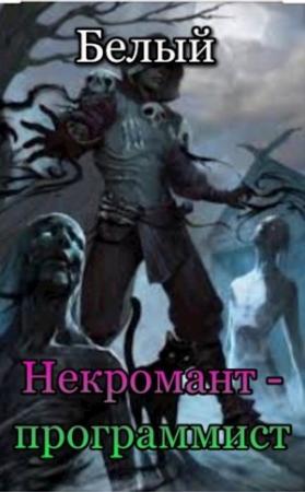 Обложка книги «Некромант-программист» — Белый