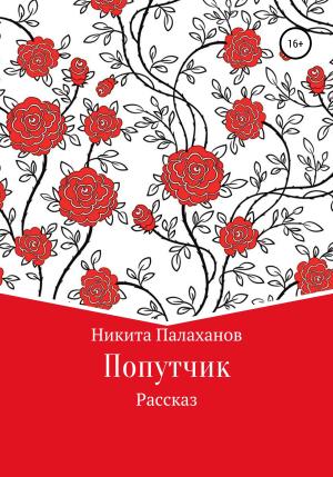 Обложка книги «Попутчик» — Никита Палаханов