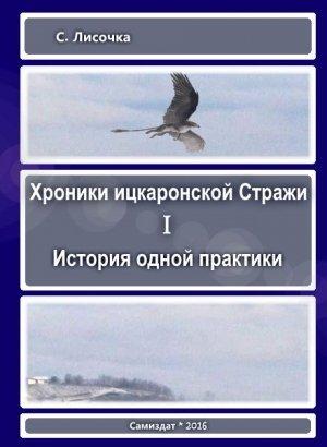 Обложка книги «Хроники ицкаронской Стражи. История одной практики» — С Лисочка