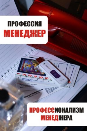 Обложка книги «Профессионализм менеджера» — Илья Мельников