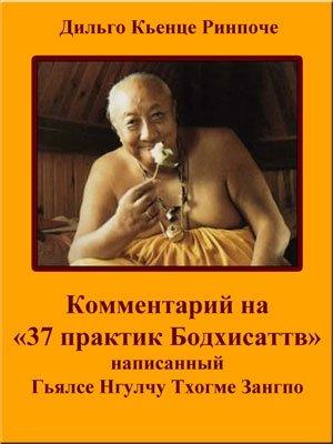 Обложка книги «Комментарий на «37 практик Бодхисаттв»» — Дильго Кьенце
