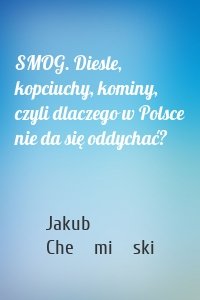 SMOG. Diesle, kopciuchy, kominy, czyli dlaczego w Polsce nie da się oddychać?