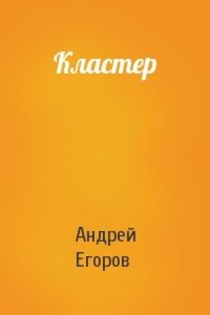 Обложка книги «Кластер» — Андрей Егоров