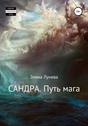 Обложка книги «Сандра. Путь мага» — Элина Лунева