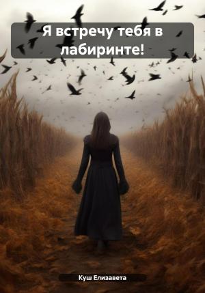 Обложка книги «Я встречу тебя в лабиринте!» — Елизавета Куш