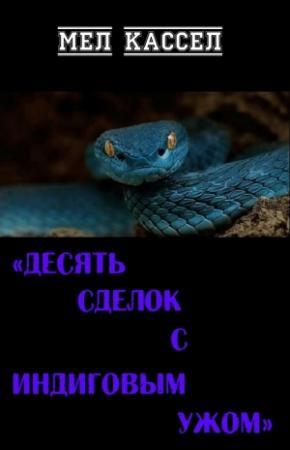 Обложка книги «Десять сделок с индиговым ужом» — Мел Кассел