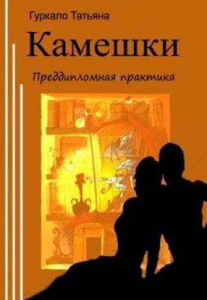 Обложка книги «Камешки. Преддипломная практика» — Татьяна Гуркало
