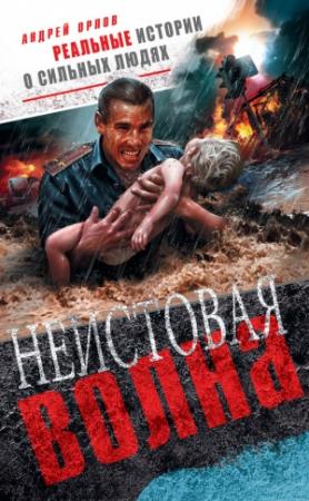 Обложка книги «Неистовая волна» — Андрей Орлов