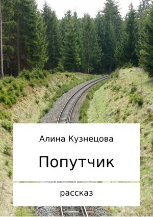 Обложка книги «Попутчик» — Алина Кузнецова