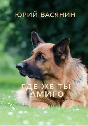 Обложка книги «Где же ты, Амиго?» — Юрий Васянин