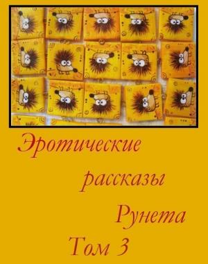 Обложка книги «Эротические рассказы Рунета - Том 3»