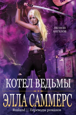 Обложка книги «Котел ведьмы» — Элла Саммерс