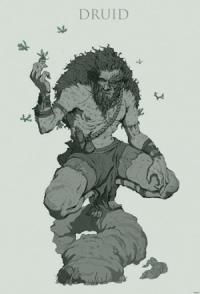 Друид